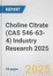Choline Citrate (CAS 546-63-4) Industry Research 2025: Global and Regional Market Trends 2019-2024 and Forecast to 2029 - Product Thumbnail Image