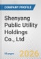 Shenyang Public Utility Holdings Co., Ltd. Fundamental Company Report Including Financial, SWOT, Competitors and Industry Analysis - Product Thumbnail Image