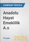 Anadolu Hayat Emeklilik A.s Fundamental Company Report Including Financial, SWOT, Competitors and Industry Analysis - Product Thumbnail Image