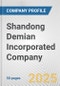 Shandong Demian Incorporated Company Fundamental Company Report Including Financial, SWOT, Competitors and Industry Analysis - Product Thumbnail Image