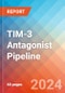 TIM-3 Antagonist - Pipeline Insight, 2024 - Product Thumbnail Image