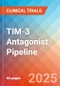 TIM-3 Antagonist - Pipeline Insight, 2024 - Product Thumbnail Image