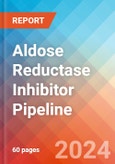Aldose Reductase Inhibitor - Pipeline Insight, 2024- Product Image