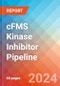 cFMS Kinase Inhibitor - Pipeline Insight, 2024 - Product Image