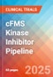 cFMS Kinase Inhibitor - Pipeline Insight, 2024 - Product Thumbnail Image