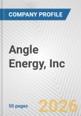 Angle Energy, Inc. Fundamental Company Report Including Financial, SWOT, Competitors and Industry Analysis- Product Image