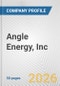 Angle Energy, Inc. Fundamental Company Report Including Financial, SWOT, Competitors and Industry Analysis - Product Thumbnail Image