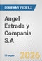 Angel Estrada y Compania S.A. Fundamental Company Report Including Financial, SWOT, Competitors and Industry Analysis - Product Thumbnail Image