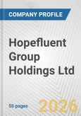 Hopefluent Group Holdings Ltd. Fundamental Company Report Including Financial, SWOT, Competitors and Industry Analysis- Product Image