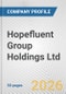 Hopefluent Group Holdings Ltd. Fundamental Company Report Including Financial, SWOT, Competitors and Industry Analysis - Product Thumbnail Image