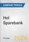 Hol Sparebank Fundamental Company Report Including Financial, SWOT, Competitors and Industry Analysis - Product Thumbnail Image