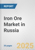 Iron Ore Market in Russia: 2019-2024 Review and Forecast to 2029- Product Image