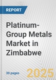 Platinum-Group Metals Market in Zimbabwe: 2019-2024 Review and Forecast to 2029- Product Image
