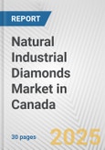 Natural Industrial Diamonds Market in Canada: 2019-2024 Review and Forecast to 2029- Product Image