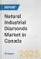 Natural Industrial Diamonds Market in Canada: 2017-2023 Review and Forecast to 2027 - Product Image