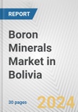 Boron Minerals Market in Bolivia: 2017-2023 Review and Forecast to 2027- Product Image
