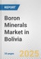 Boron Minerals Market in Bolivia: 2019-2024 Review and Forecast to 2029 - Product Thumbnail Image