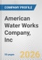 American Water Works Company, Inc. Fundamental Company Report Including Financial, SWOT, Competitors and Industry Analysis - Product Thumbnail Image