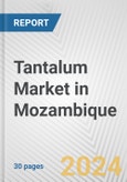 Tantalum Market in Mozambique: 2017-2023 Review and Forecast to 2027- Product Image
