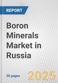 Boron Minerals Market in Russia: 2017-2023 Review and Forecast to 2027- Product Image