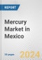 Mercury Market in Mexico: 2017-2023 Review and Forecast to 2027 - Product Thumbnail Image