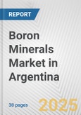 Boron Minerals Market in Argentina: 2019-2024 Review and Forecast to 2029- Product Image