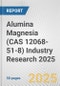 Alumina Magnesia (CAS 12068-51-8) Industry Research 2025: Global and Regional Market Trends 2019-2024 and Forecast to 2029 - Product Thumbnail Image