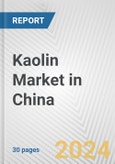 Kaolin Market in China: 2017-2023 Review and Forecast to 2027- Product Image