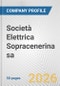 Società Elettrica Sopracenerina sa Fundamental Company Report Including Financial, SWOT, Competitors and Industry Analysis - Product Thumbnail Image