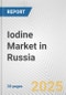 Iodine Market in Russia: 2017-2023 Review and Forecast to 2027 - Product Image