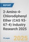 2-Amino-4-Chlorodiphenyl Ether (CAS 93-67-4) Industry Research 2025: Global and Regional Market Trends 2019-2024 and Forecast to 2029 - Product Thumbnail Image