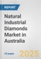 Natural Industrial Diamonds Market in Australia: 2019-2024 Review and Forecast to 2029 - Product Thumbnail Image