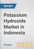 Potassium Hydroxide Market in Indonesia: 2019-2024 Review and Forecast to 2029- Product Image
