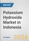 Potassium Hydroxide Market in Indonesia: 2017-2023 Review and Forecast to 2027 - Product Thumbnail Image