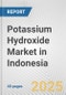 Potassium Hydroxide Market in Indonesia: 2019-2024 Review and Forecast to 2029 - Product Thumbnail Image