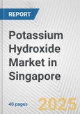 Potassium Hydroxide Market in Singapore: 2017-2023 Review and Forecast to 2027- Product Image