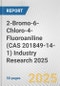 2-Bromo-6-Chloro-4-Fluoroaniline (CAS 201849-14-1) Industry Research 2025: Global and Regional Market Trends 2019-2024 and Forecast to 2029 - Product Image