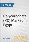Polycarbonate (PC) Market in Egypt: 2019-2024 Review and Forecast to 2029- Product Image