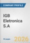 IGB Eletronica S.A. Fundamental Company Report Including Financial, SWOT, Competitors and Industry Analysis - Product Thumbnail Image