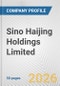 Sino Haijing Holdings Limited Fundamental Company Report Including Financial, SWOT, Competitors and Industry Analysis - Product Thumbnail Image