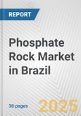 Phosphate Rock Market in Brazil: 2019-2024 Review and Forecast to 2029- Product Image
