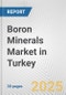 Boron Minerals Market in Turkey: 2019-2024 Review and Forecast to 2029 - Product Thumbnail Image