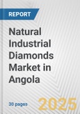 Natural Industrial Diamonds Market in Angola: 2019-2024 Review and Forecast to 2029- Product Image