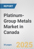 Platinum-Group Metals Market in Canada: 2017-2023 Review and Forecast to 2027- Product Image