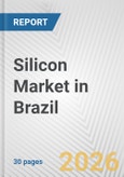 Silicon Market in Brazil: 2019-2024 Review and Forecast to 2029- Product Image