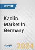 Kaolin Market in Germany: 2016-2022 Review and Forecast to 2026- Product Image
