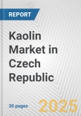 Kaolin Market in Czech Republic: 2019-2024 Review and Forecast to 2029- Product Image
