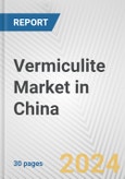 Vermiculite Market in China: 2017-2023 Review and Forecast to 2027- Product Image