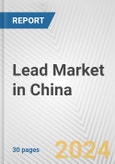 Lead Market in China: 2017-2023 Review and Forecast to 2027- Product Image