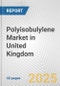 Polyisobulylene Market in United Kingdom: 2019-2024 Review and Forecast to 2029 - Product Thumbnail Image